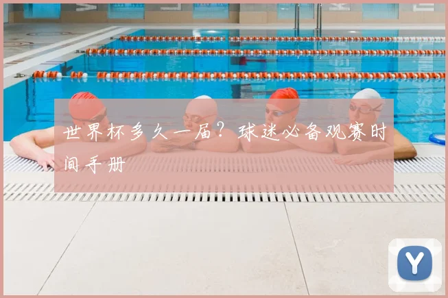 世界杯多久一届？球迷必备观赛时间手册