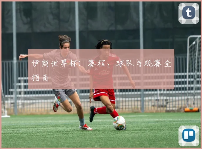 伊朗世界杯：赛程、球队与观赛全指南